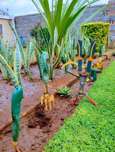 Fumigation & Pest Control — Kellyscappers Central