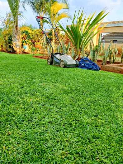Lawn mower beside plant bed — by Kellyscappers Central