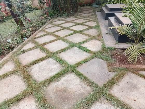 Rock Garden — Kellyscappers Central