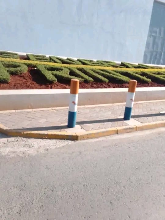 Lettered hedge at roadside kerb — by Kellyscappers Central