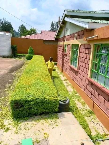 Neat hedge beside house — by Kellyscappers Central