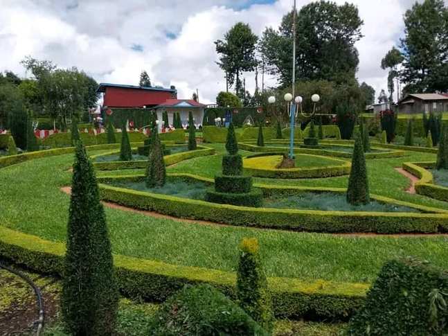 Ornamental topiary garden — by Kellyscappers Central