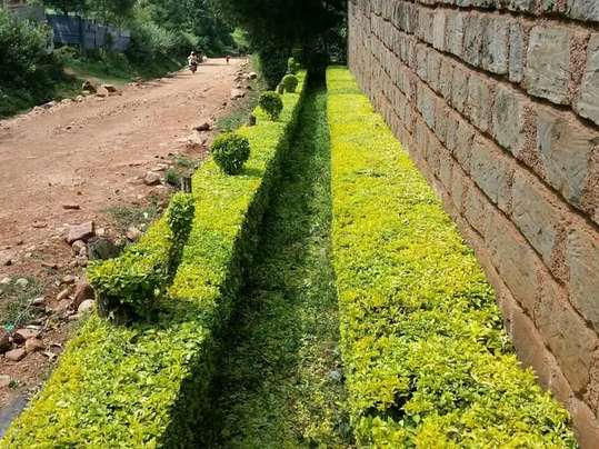 Fencing — Kellyscappers Central