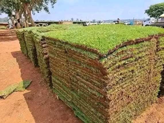 Lawn Installation — Kellyscappers Central