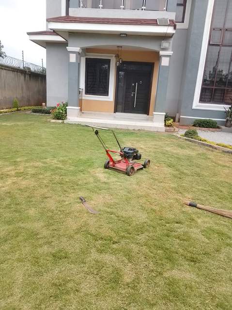 Freshly mowed lawn in front of a modern Kenyan home by Kellyscappers Central