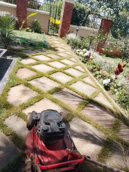 Mower on stepping stone path with grass joints — by Kellyscappers Central