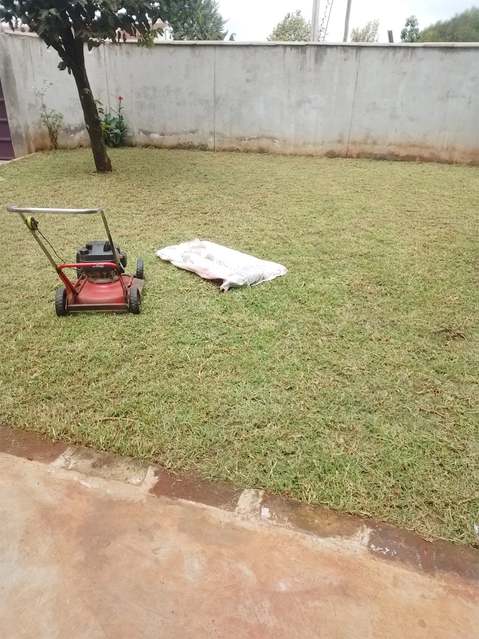 Red mower in walled yard lawn — by Kellyscappers Central