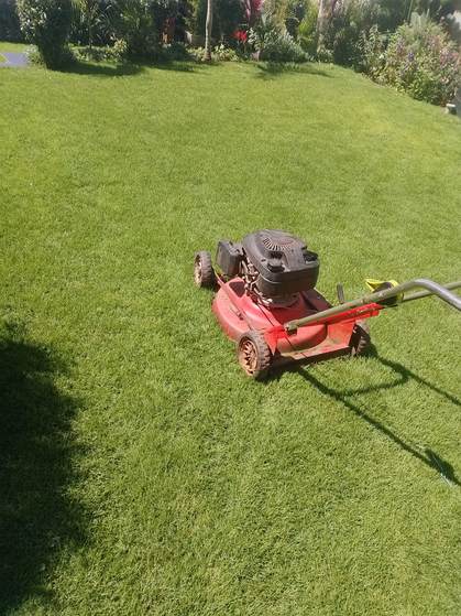 Red mower on freshly cut lawn — by Kellyscappers Central