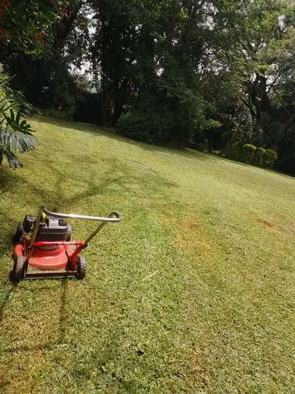 Red push mower on large sloping lawn — by Kellyscappers Central