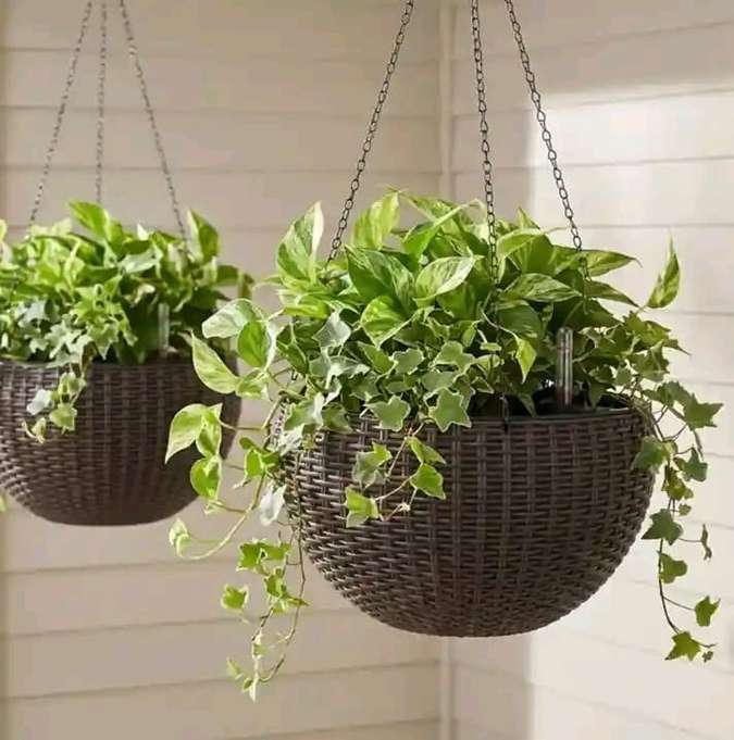 Hanging baskets ivy and pothos woven planters — by Kellyscappers Central