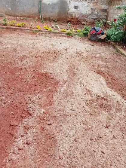 Lawn Maintenance — Kellyscappers Central